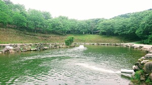 DSC_2655~2.JPG