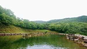 DSC_2752~2.JPG